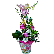 /fileuploads/Produtos/Arranjos Florais/thumb_florista_jusart_flores_plantas_rosas_jardim_ARRANJO FLORAL 14 (45).png